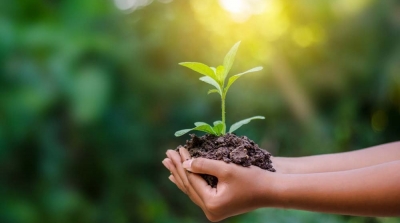 نحو إدراج مادة التربية البيئية ضمن المناهج التعليمية في تونس