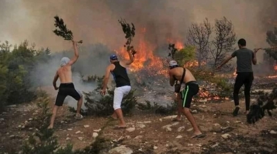 تونس تسجل اندلاع 155 حريقا من بينها 12 حريقا غابيا