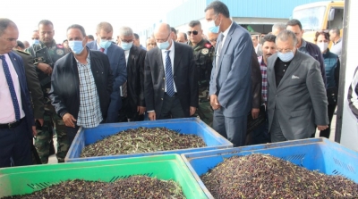 تونس: الانتاج الوطني لزيت الزيتون هذا الموسم في حدود 240 ألف طن