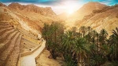 توزر : رجّة أرضية في دقاش